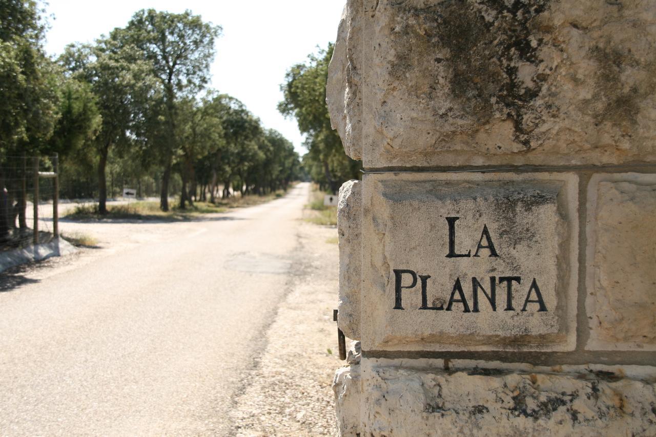 La Casita De La Planta Ξενοδοχείο Quintanilla de Onésimo Εξωτερικό φωτογραφία
